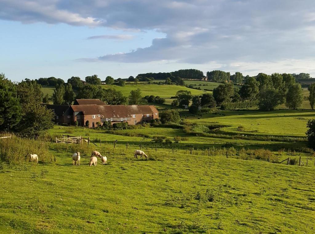 Winchelsea Lodge Eksteriør billede